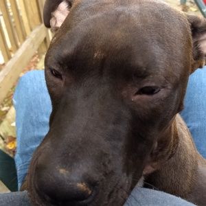 Meet your Posher, Russell